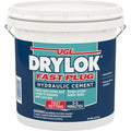 1PK 00924 10lb Fast Plug Hydraulic Cement LANC-150341-NF by FixtureDisplays