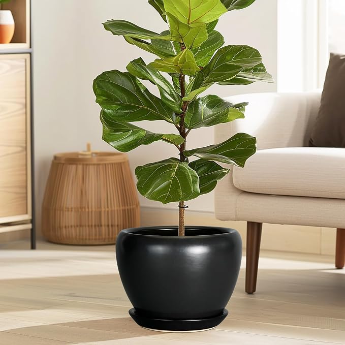 Ceramicfor Ceramic Planter Pot - Image 5