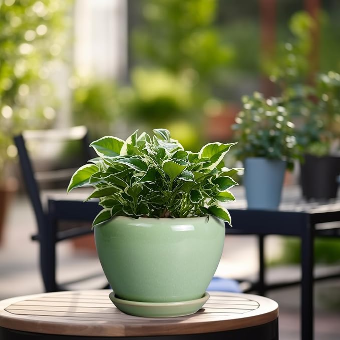 Ceramicfor 6 Inch Plant Pot - Image 4