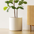 LE TAUCI 12 Inch Pot for Plants, Ceramic Planters for Indoor Plants, by LETAUCI