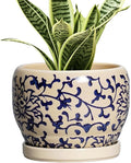 SQOWL Ceramic Flower Pots by SQOWL