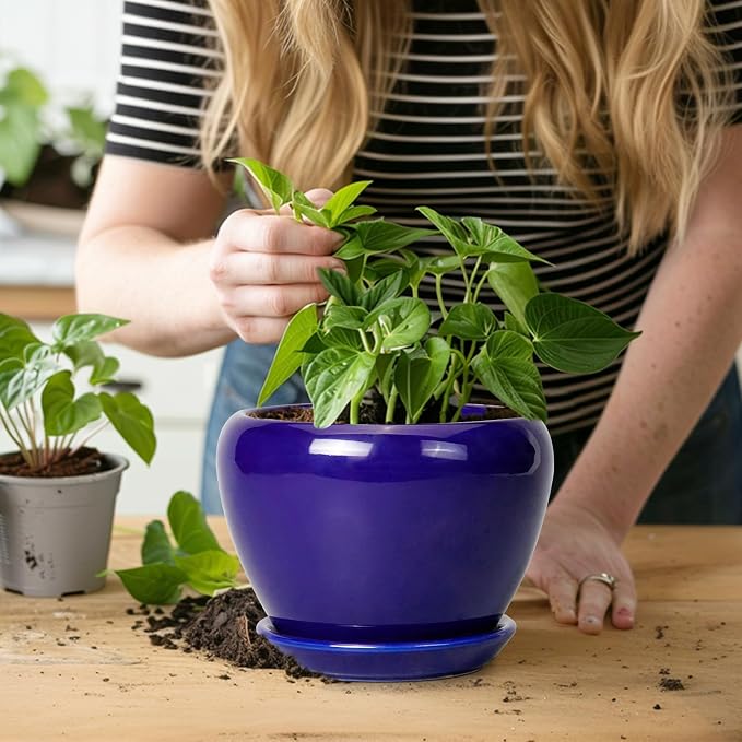 Ceramicfor 6 Inch Plant Pot - Image 5