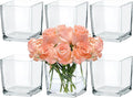 CONNOO 6 Pack 5" x 5" x 5" Clear Square Glass Vase by CONNOO