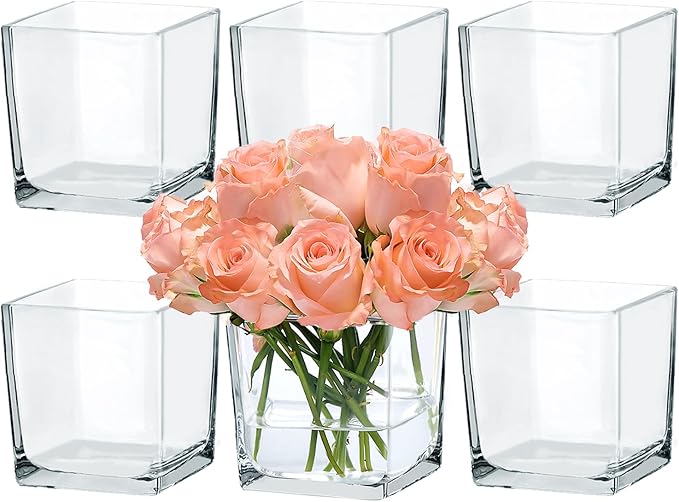 CONNOO 6 Pack 5" x 5" x 5" Clear Square Glass Vase by CONNOO