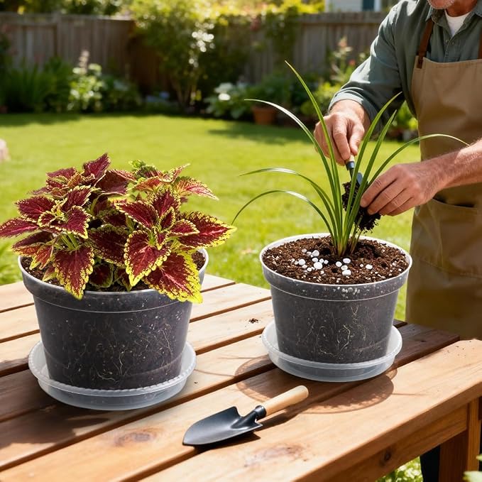 RooTrimmer 12 Pack 8 Inch Clear Plant Pots - Image 5