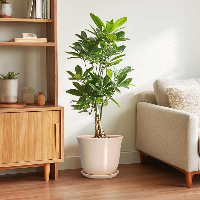 Ceramic Planter, 10 Inch Plant Pot - Image 4