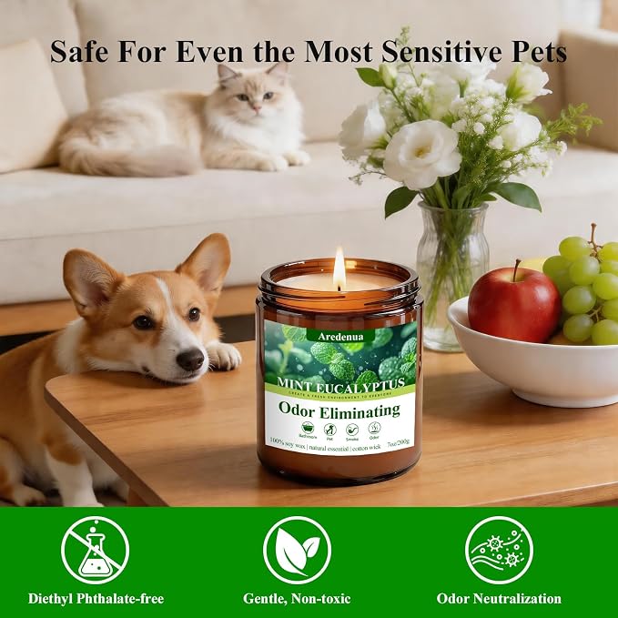 Mint Eucalyptus Odor Eliminating Candles, 7 oz Soy Scented Candle | Eliminates - Image 4
