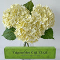 YalzoneMet 3 PCS Beige Creamy Hydrangea Artificial Flowers 21 inches Real Touch by YalzoneMet