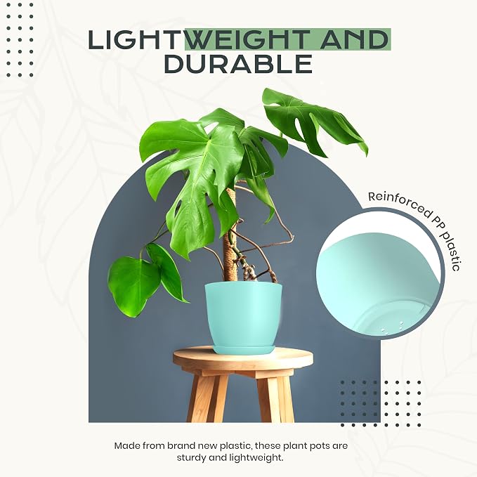 Plant Pots Indoor with Drainage, 10 Pack Multi-Size Planters Set, Aqua | - Image 6