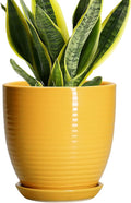 Ceramic Pots for Plants by EPFamily