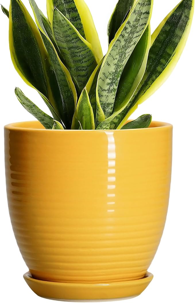 Ceramic Pots for Plants by EPFamily