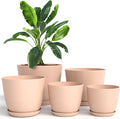 Plant Pots Indoor with Drainage, 5 Pack Multi-Size Planters Set by UTOPIAHOME