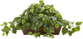 Nearly Natural 34 in Artificial Pothos Ivy Plant by NearlyNatural