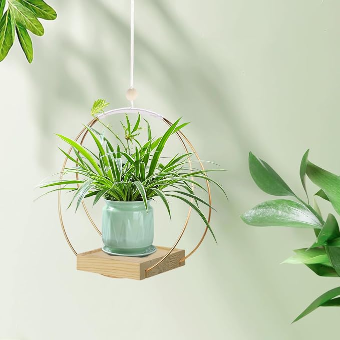 hismocal Hanging Planter for Indoor Plants, Plant Hanger - Image 6