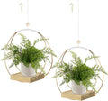 hismocal Hanging Planter for Indoor Plants, Plant Hanger by hismocal