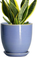 6 Inch Ceramic Pots for Plants by EPFamily