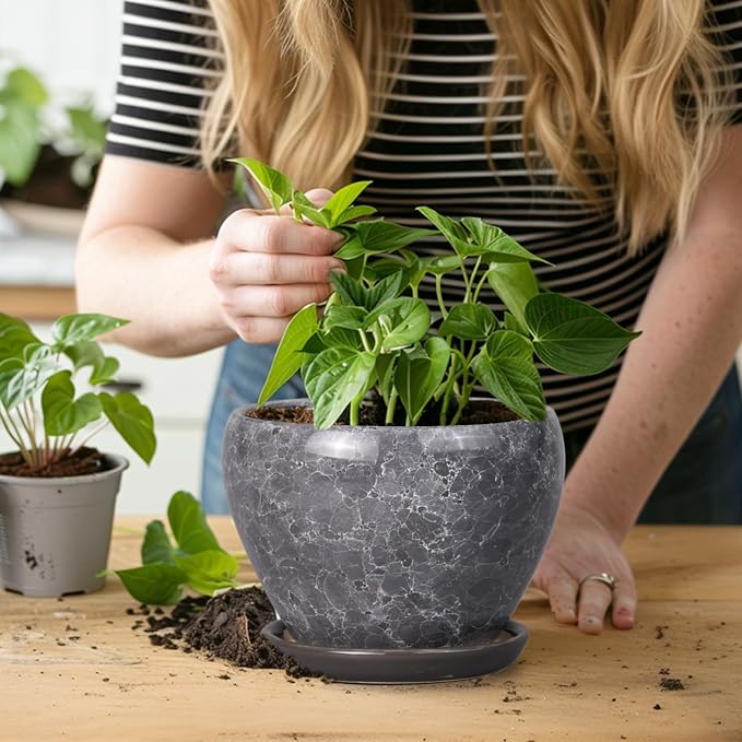 Ceramicfor Ceramic Planter - Image 7