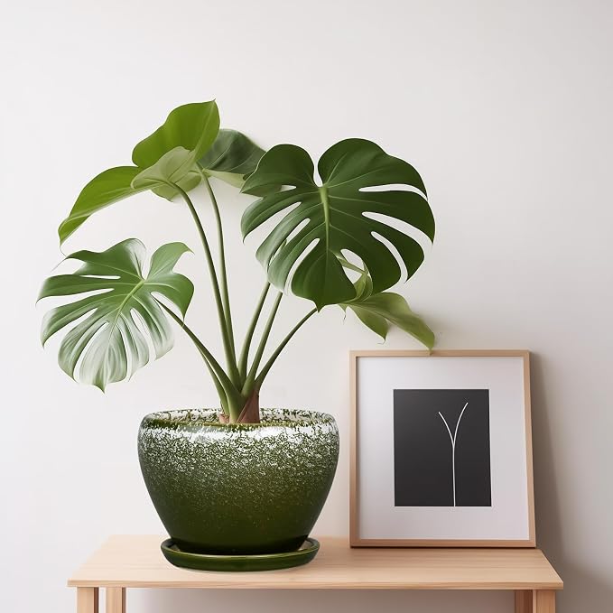 Ceramicfor 6 Inch Plant Pot - Image 5