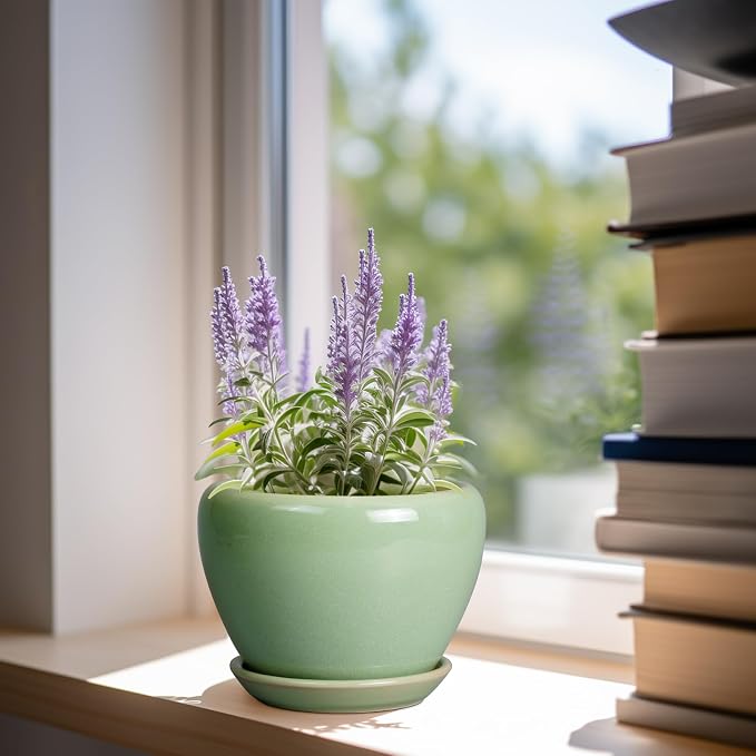 Ceramicfor 6 Inch Plant Pot - Image 2