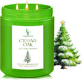 Cedar Oak Large Candle, 3-Wick 22oz Long Lasting Scented Candle | Natural Soy by FFFRAGRFLOWING