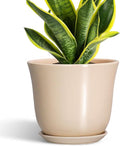 8 Inch Plant Pot, Ceramic Pots for Plants Indoor, Modern Decorative Planters by SUNPOTFOR