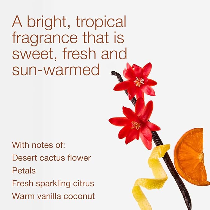 Bath & Body Works Cactus Blossom 3-Wick Candle - Image 3