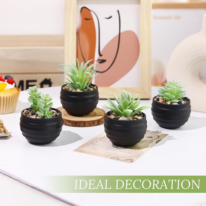 Der Rose 6 Pack Fake Succulents Plants in Black Pots - Image 5