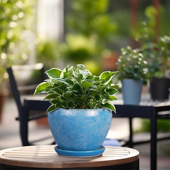 Ceramicfor 6 Inch Plant Pot - Image 5