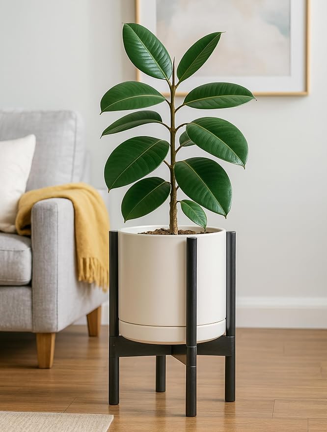 D'vine Dev Ceramic Pot with Ebony Wood Stand, 10 in, 55-B-L-8 | Mid-Century - Image 6
