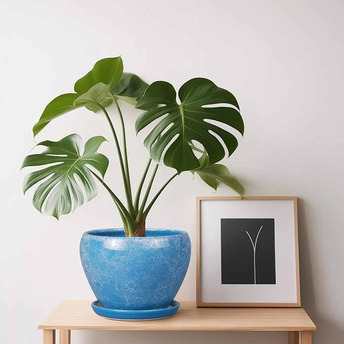 Ceramicfor 6 Inch Plant Pot - Image 2