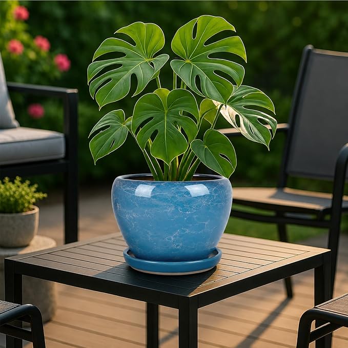 Deep Dream 8 Inch Plant Pots- Ceramic Pots - Image 2