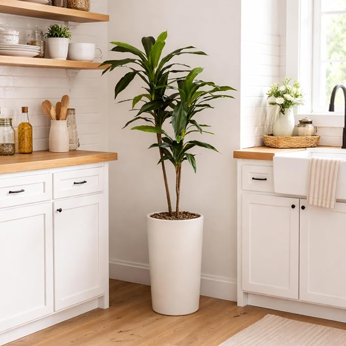 Nearly Natural 48 in Artificial Dracaena Real Touch Plant - Image 12
