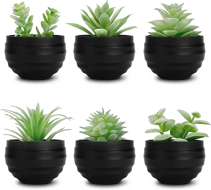 Der Rose 6 Pack Fake Succulents Plants in Black Pots by DerRose