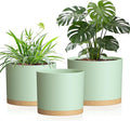 10/9/8 Inch Plant Pots 3 Pack, by Areutxbis