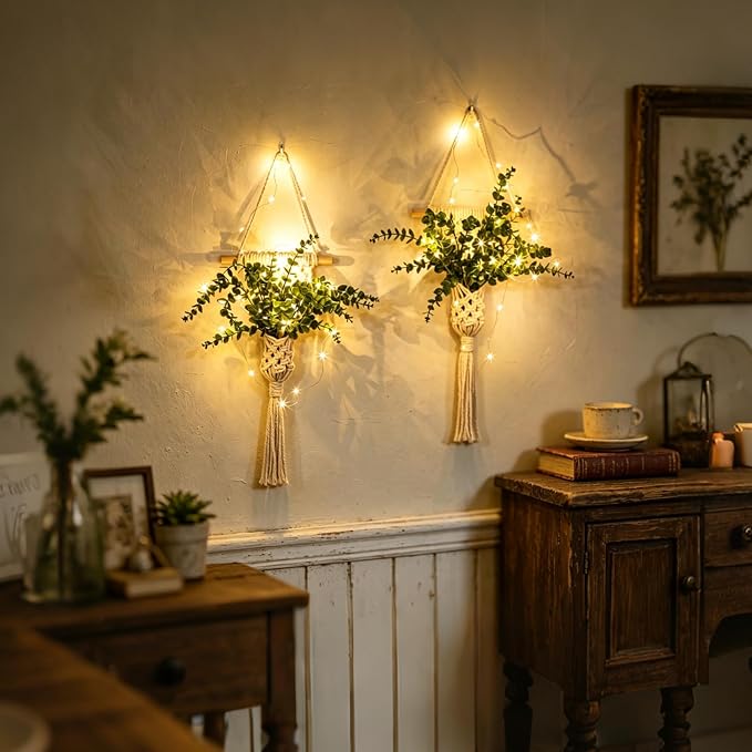 Macrame Wall Hanging Plants - Image 6