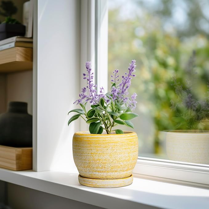 SQOWL Ceramic Planter - Image 2