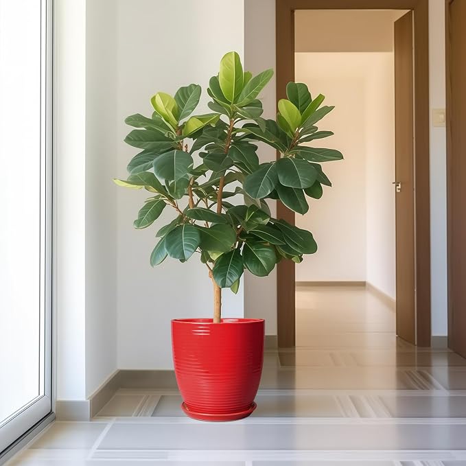 Ceramic Pot for Plants 12 Inch - Image 2