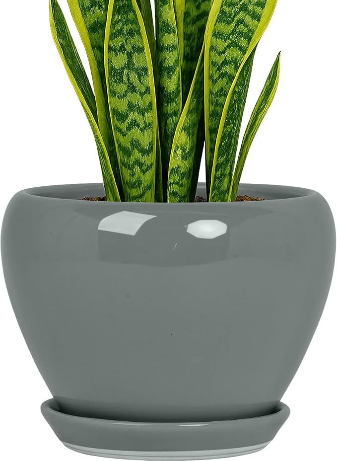 Deep Dream 8 Inch Plant Pots- Ceramic Pots by DeepDream