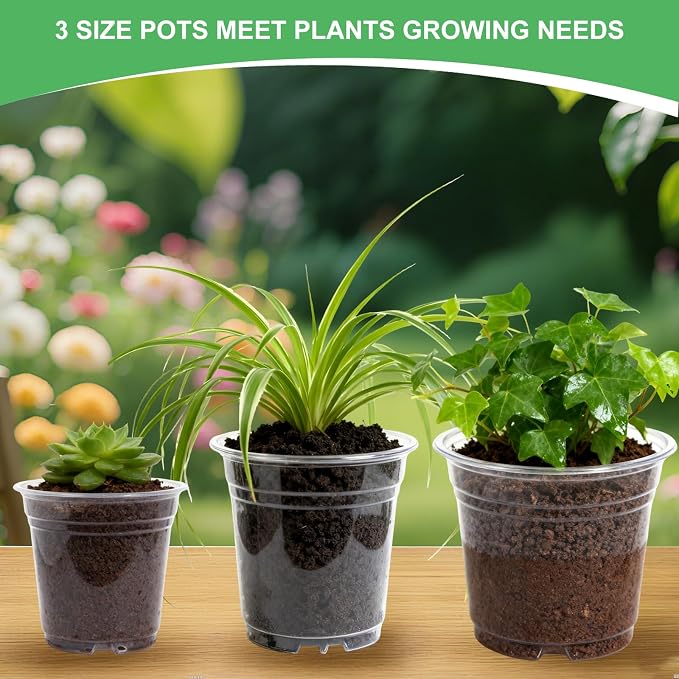 45 Pack 7/8/10 Inch Clear Nursery Pots - Image 6