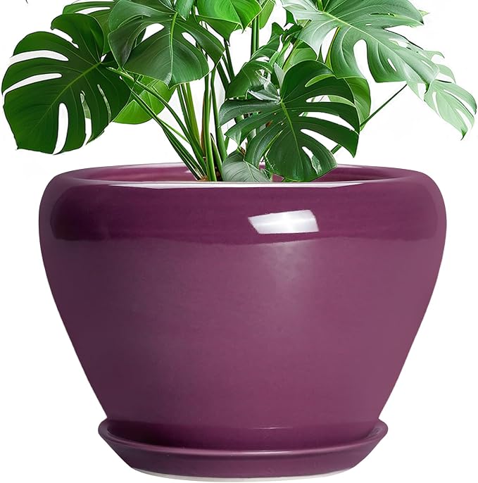 Ceramicfor 10 Inch Plant Pot by Ceramicfor
