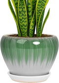 Deep Dream 8 Inch Plant Pots- Ceramic Pots by DeepDream