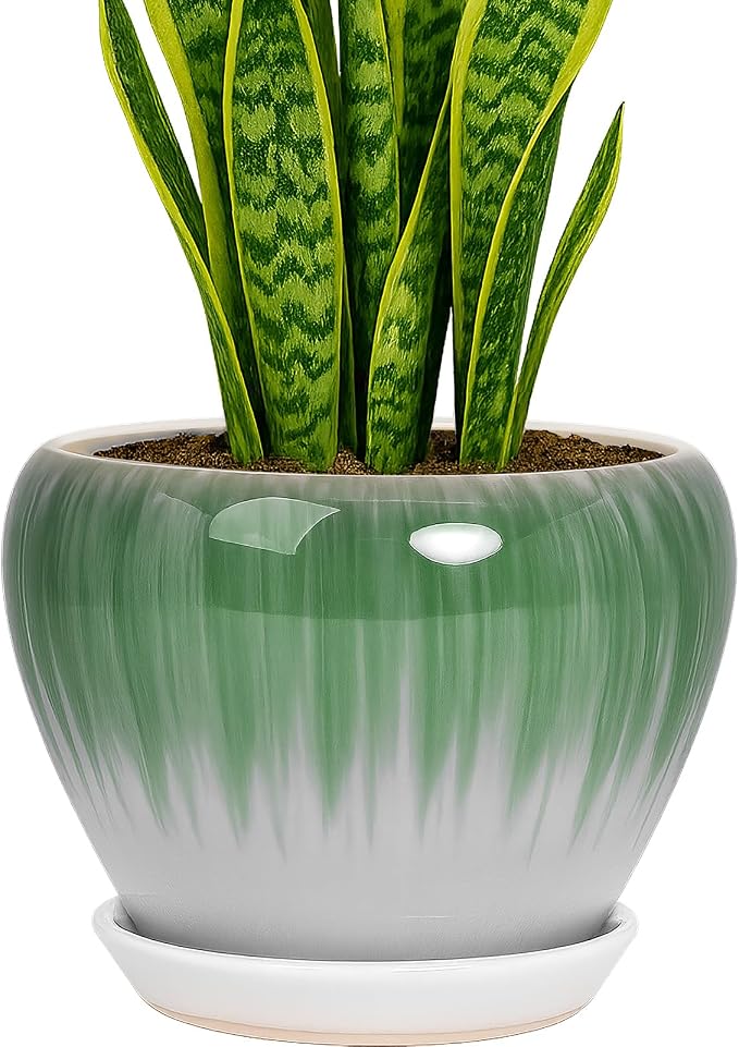 Deep Dream 8 Inch Plant Pots- Ceramic Pots by DeepDream
