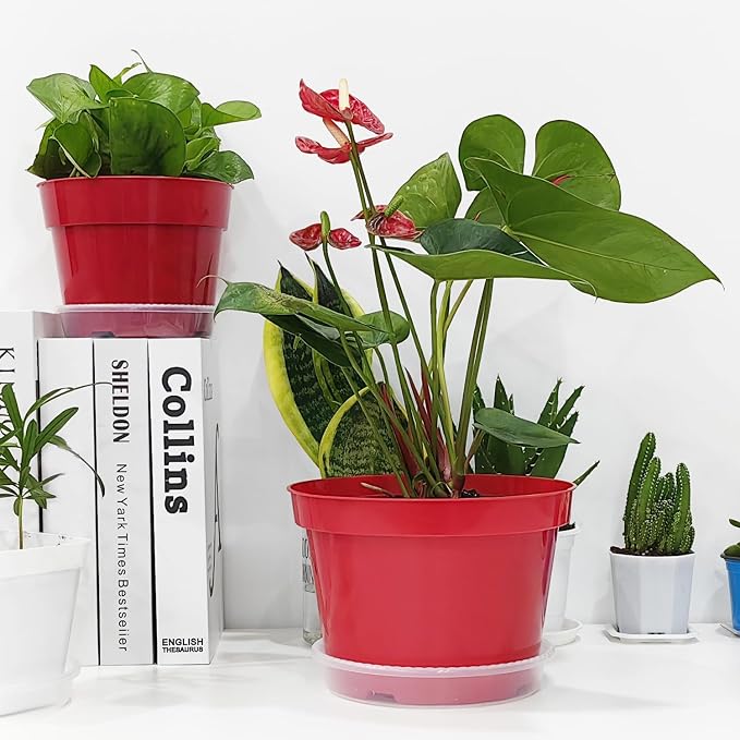 RooTrimmer 8 inch Plastic Flower Pots - Image 6