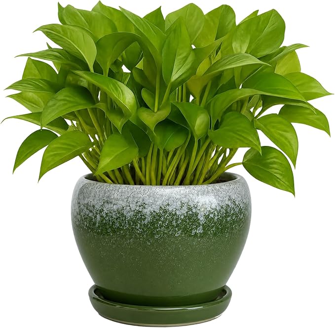 Deep Dream 6 Inch Plant Pots- Ceramic Planter Pot by DeepDream