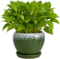Deep Dream 6 Inch Plant Pots- Ceramic Planter Pot by DeepDream