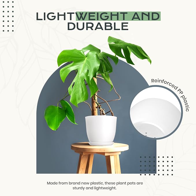 Plant Pots Indoor with Drainage, 10 Pack Multi-Size Planters Set - Image 6