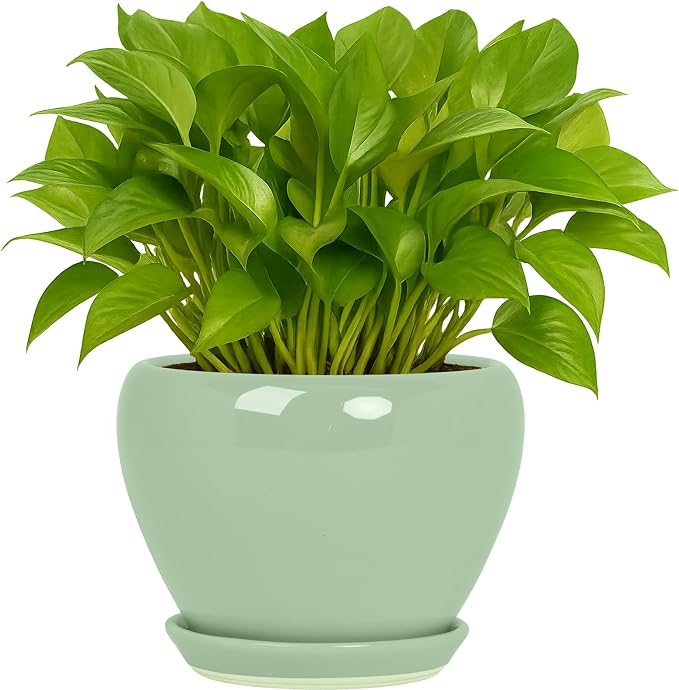 Deep Dream 6 Inch Plant Pots- Ceramic Planter Pot by DeepDream