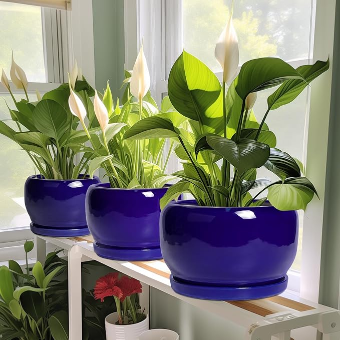 SQOWL Ceramic Planters for Indoor Plants - Image 5