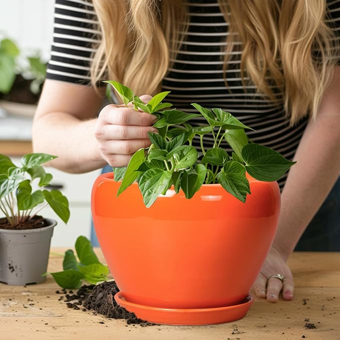 Ceramicfor Indoor Plant Pot 8 Inch - Image 5
