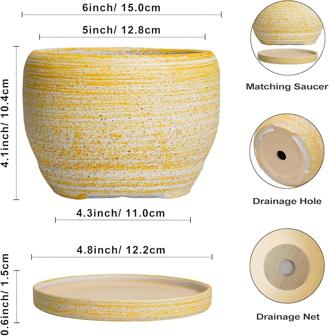 SQOWL Ceramic Planter - Image 3